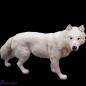 Mobile Preview: Weisser Polarwolf von der Seite